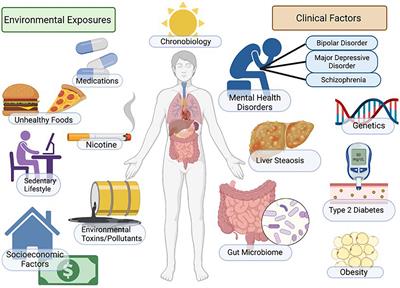 Frontiers Non alcoholic fatty liver disease NAFLD and mental